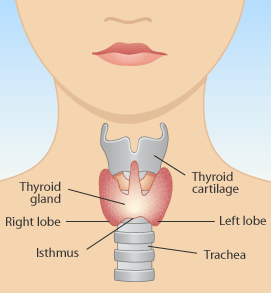 Thyroidism